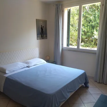 Oasi 4 *