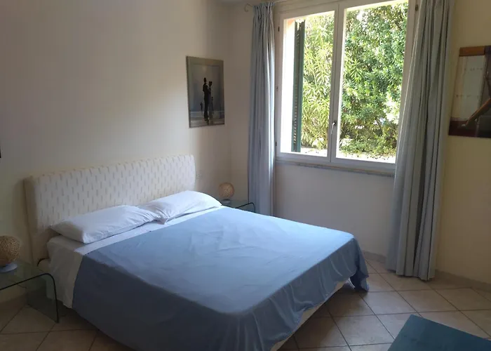 Oasi 4 *